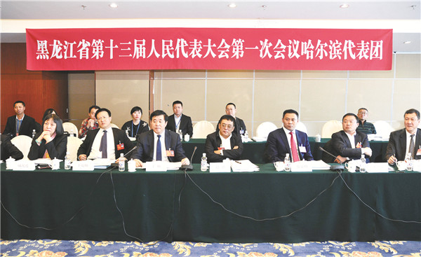 东方集团董事局执行主席张显峰(右三)参加黑龙江省人民代表大会第一次